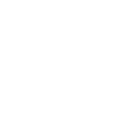 light logo
